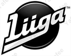 Liigapassi