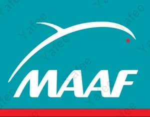Maaf
