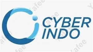 Cyberindo