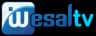 Wesal Tv