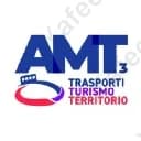 Amt Services