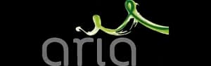 Aria Wimax
