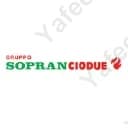 Ciodue Italia