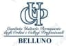 Cup Belluno