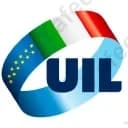 Uil