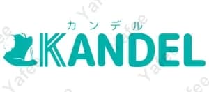 ドクターワンデル