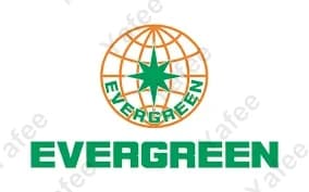 Evergreen