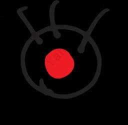 Fuji Tv On Demand