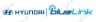 Hyundai Blue Link