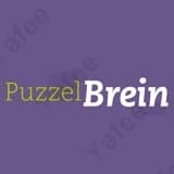 Puzzelbrein