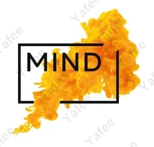 Stichting Mind