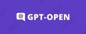 Gpt Open Ru