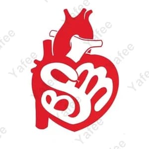 Bsm