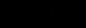Wifog