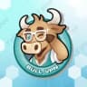 Bullvpn