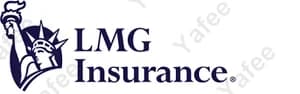 V-Lmg Insurance