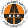 Hgs