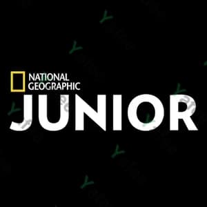 national geographic junior abonnement