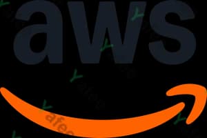 Amazon Web Services (Aws)