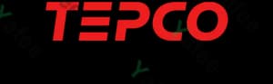 Tepco (Tokyo Electric Power Company)