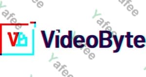 Videobyte