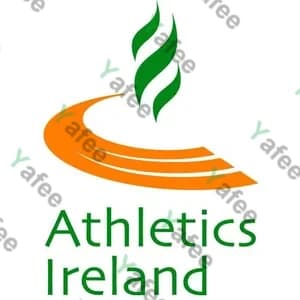 The Athletic