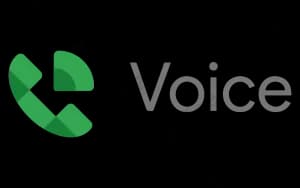 Google Voice