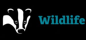 Wildlife Trust