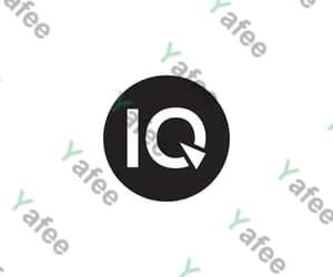 Iq Score